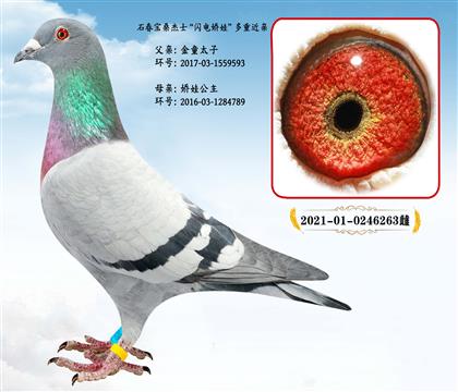 ʯ�������W늋��ޡ�X���������ӡ����ؽ��H�N��