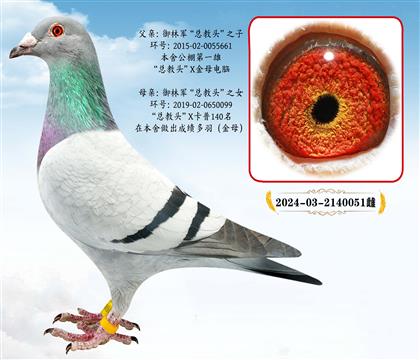 ����܊�������^��ֱ��X�������^��ֱŮ