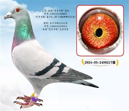 �������I(y��)���|��������ֱ�OX�|������1111ֱŮ