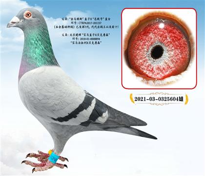 ����˹�����R�D˹X���y(t��ng)̖��ֱŮX���x�ֲ���