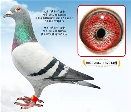 ���W�ՠ������_�Ơ�ֱ��X�_�Ơ���ֱŮ