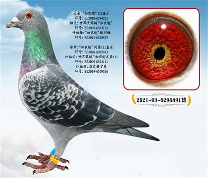 ���r(n��ng)��112ֱ��X���r(n��ng)��111ͬ�CֱŮ