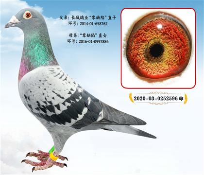 �L�����I(y��)����ȱ��ֱ��X��ȱ��ֱŮ��