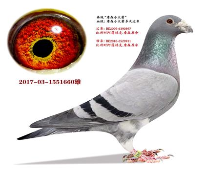 ���׷N����ղɭС������ؽ��H��ղɭԭ��ֱ���Ӵ�