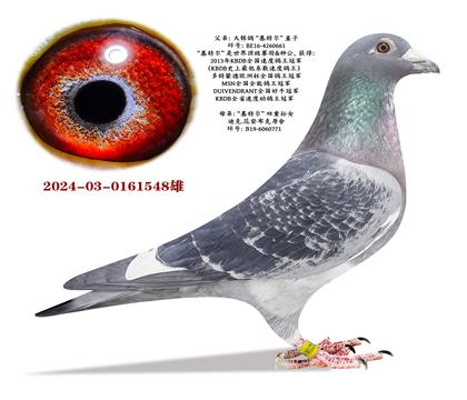 ���ؠ�ֱ��X���ؠ����ؽ��H�OŮ