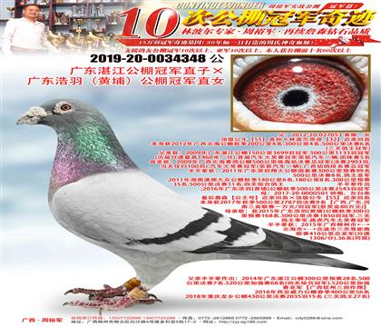 �㶫տ������ھ�ֱ�ӡ��㶫���𣨻��ң�����ھ�ֱŮ