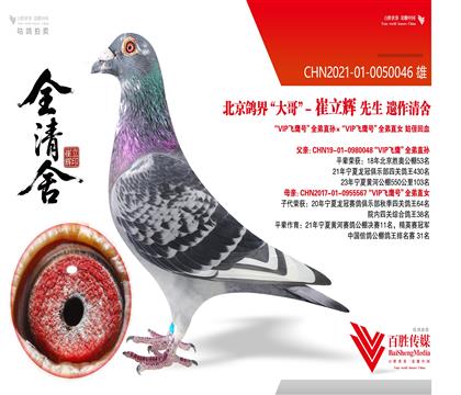 ��VIP��ӥ��ȫ�ܽ��׻�Ѫ�ָ�-0050046