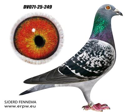 所向无敌多重回血249 雌