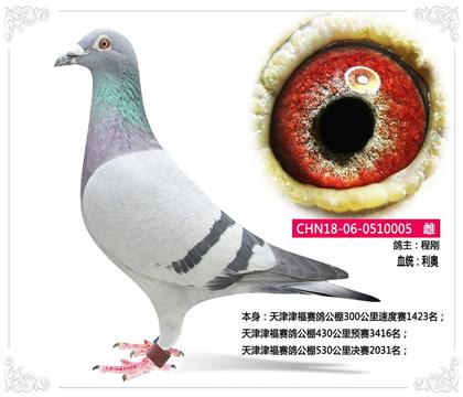 ����ِ������530����Qِ2031��  ��	���]