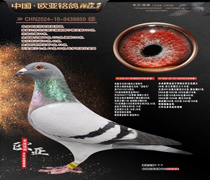 ��X���R��777X625