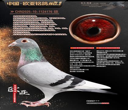 ��X614X061ֱ��447X018X061ֱŮ314���H