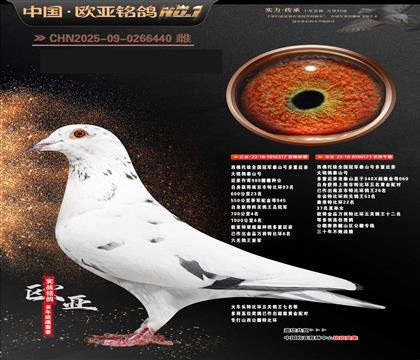 ��˹�Ѓ�(n��i)��ѩ����683x209