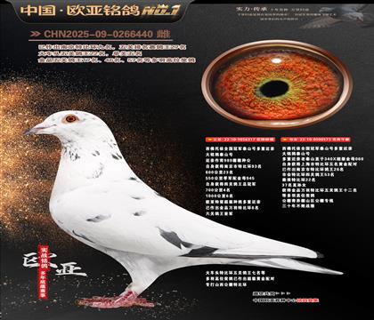 ��������ȫ����܊̩ɽ̖(h��o)���ؽ��H317X573