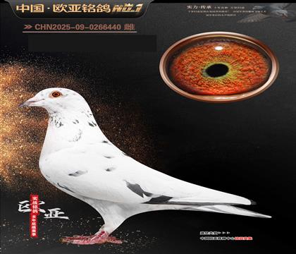 ��˹���ڰ�ѩ����683x209