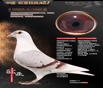 ��������ȫ����܊̩ɽ̖(h��o)���ؽ��H481X256