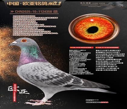 ղɭ251ֱ��326X766ֱŮ848