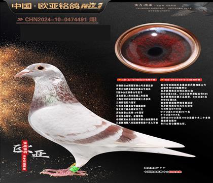 ��������ȫ��(gu��)��܊̩ɽ̖(h��o)���ؽ��H357X133