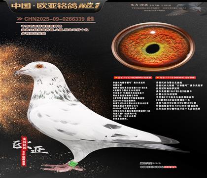 ��˼�Ѓ�(n��i)��ѩ����ԭ��884X697