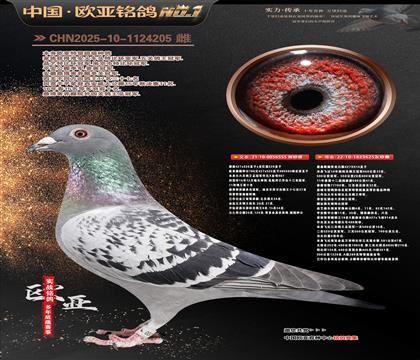 ղɭ����(j��)�䌦(du��)555Xղɭ914ֱ�OŮ625