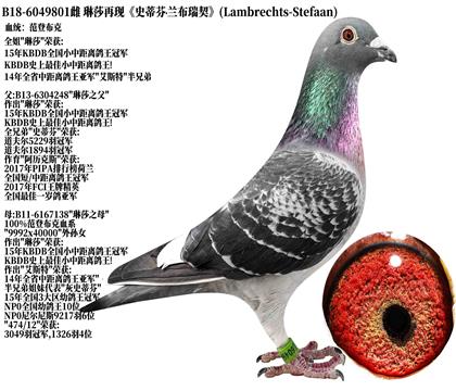 1��ʷ�ٷҡ�������������ɯ-ȫ��