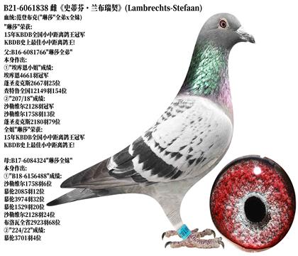 2��ʷ�ٷҡ�������������ɯ-ȫ��xȫ��