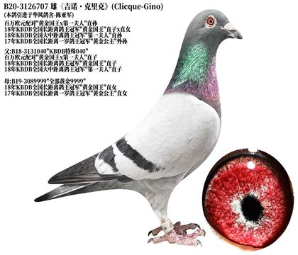 3����ŵ������ˡ�����ŷԪ���-ֱ��