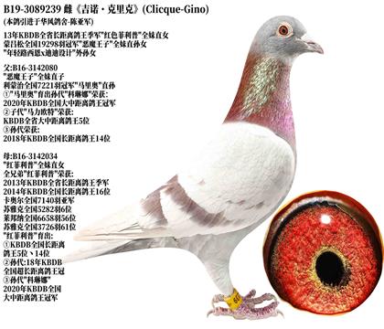 4����ŵ������ˡ��������-ȫ��ֱŮ