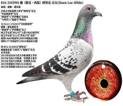 6��·�ˡ����̡���Ŭ��-ֱŮ