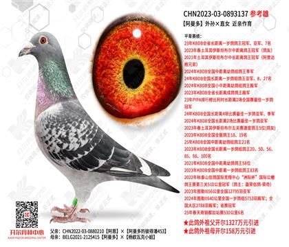 �����������ֱŮ ��������