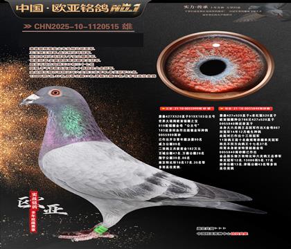 ղɭ919ֱ��999Xղɭ766ֱŮ840