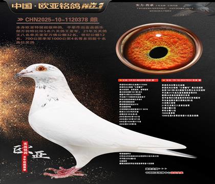 ��˹���ڰ�ѩ����698X054