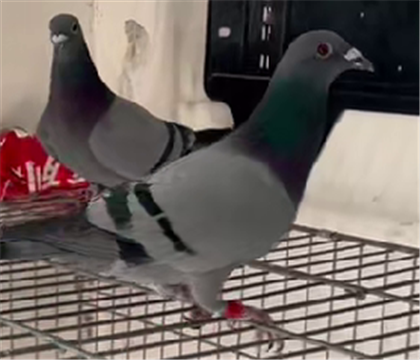 ������������165