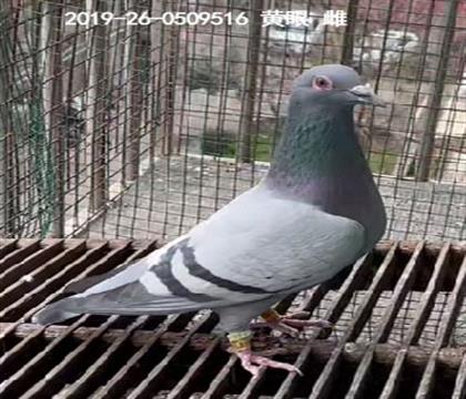 �������ܹ������174�����Ƹ�