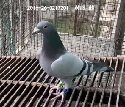 ���湫�����47�����Ƹ�