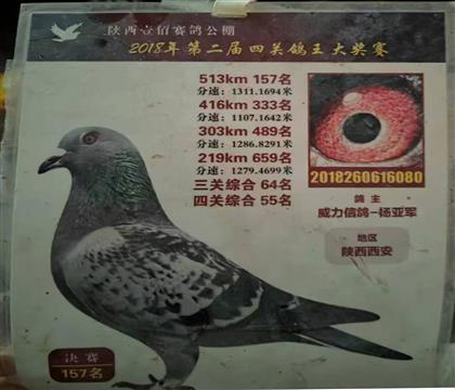 �����Ÿ��������Ҽ�۹������157�����Ƹ�