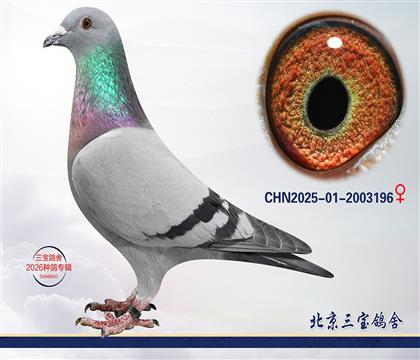 5.����x����.2003196