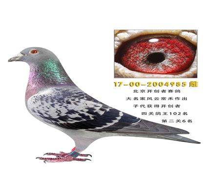 �����������Ĺظ���102���ڶ���6��