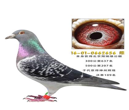 С���������Ӵ�������ݻԻ�109��