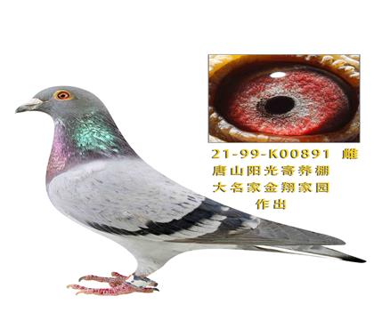 ��ɽ�����������������ɴ����ҽ����԰����