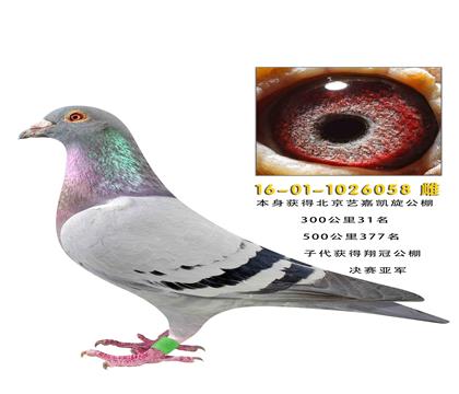 300����31���Ӵ������ڹ�������Ǿ�