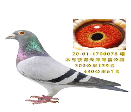 ���򸣹���430����61��