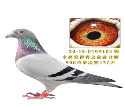 ��ȹ������137��