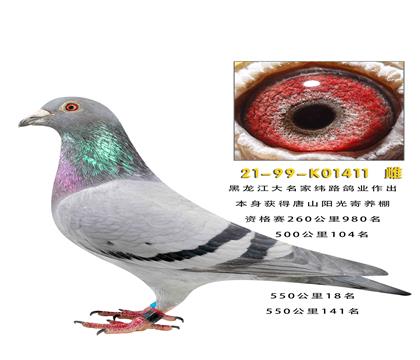 ��ɽ������������ظ����ھ�