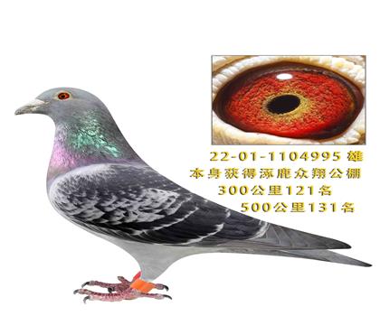 ��¹���蹫��˫�ظ���5��