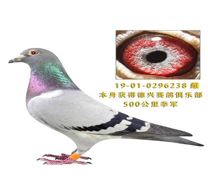 500���＾��