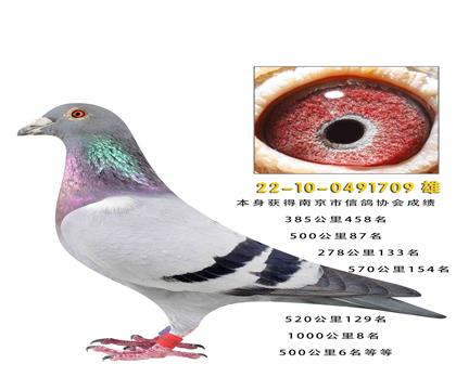 1000����8��