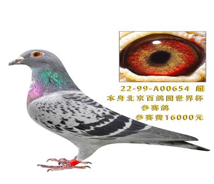 �����ٸ�԰���籭16000Ԫ������