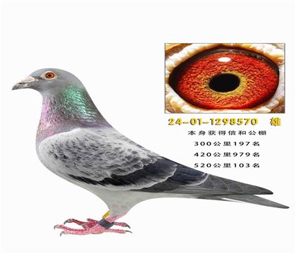 �ź͹������103��