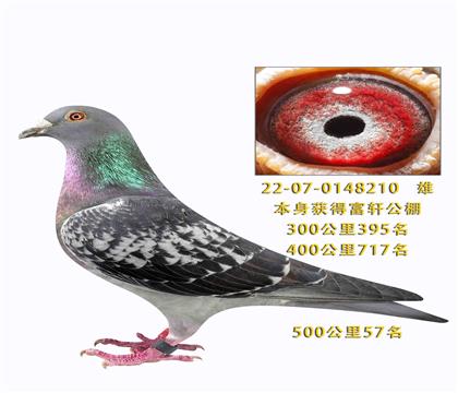 �����������57��