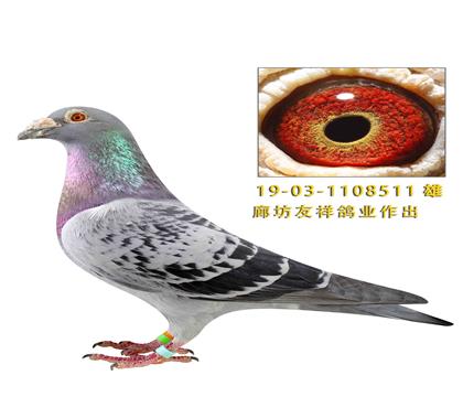 �ȷ������ҵ����